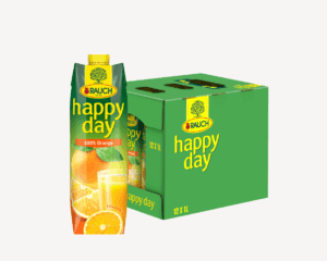 Rauch Happy Day Orangenaft 12x1lt Tetra