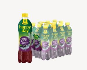 Rauch Happy Day Johannisbeer gespritzt 12x0,5lt