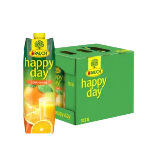 Rauch Happy Day Orangenaft 12x1lt Tetra