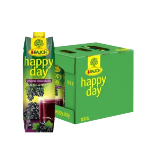 Rauch Happy Day Johannisbeersaft 12x1lt Tetra