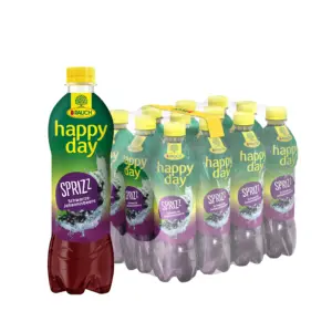 Rauch Happy Day Johannisbeer gespritzt 12x0,5lt